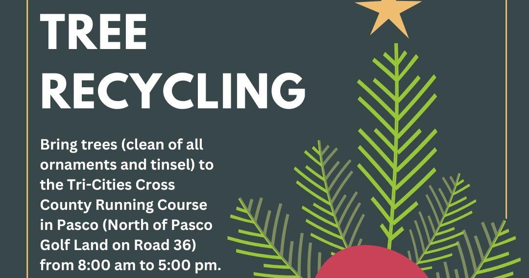 Free Christmas tree recycling in Paco through January 2025 | News ...