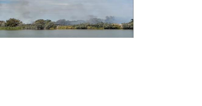 Tri-Cities firefighters close Bateman island indefinitely due to fire - Vimarsana News