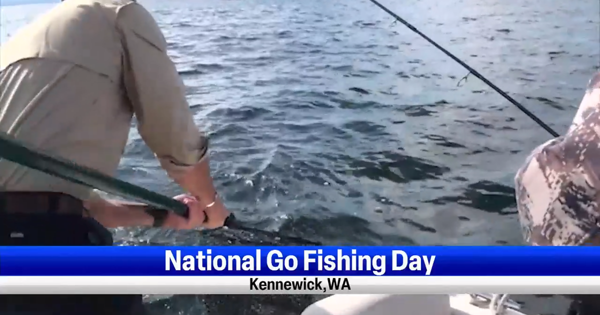 National Go fishing day, what you need to know before reeling in your ...