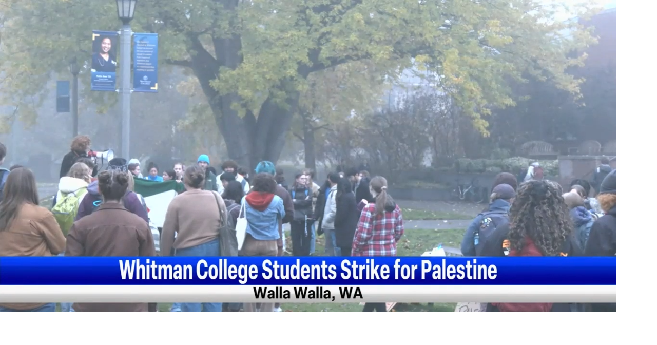 Local Community organizations join National Shut it Down for Palestine