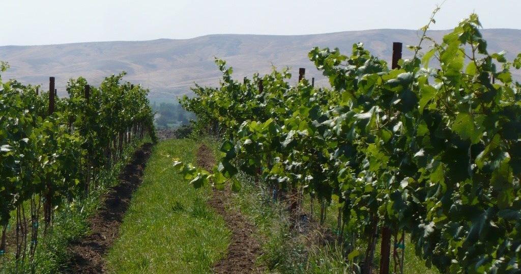 Proposed legislation would create Agritourism Office - Vimarsana News