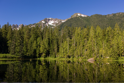 Hoh river trail to elk lake discount
