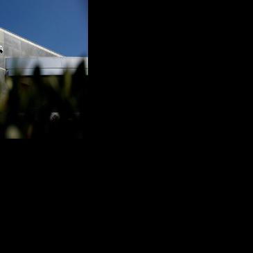 Investors are keenly awaiting the release of Nvidia's earnings this week