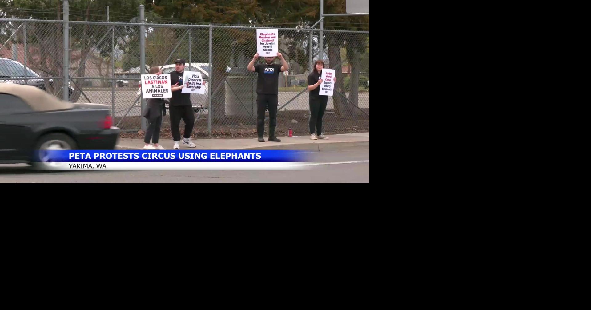 PETA protests Jordan World Circus outside Yakima SunDome | News ...