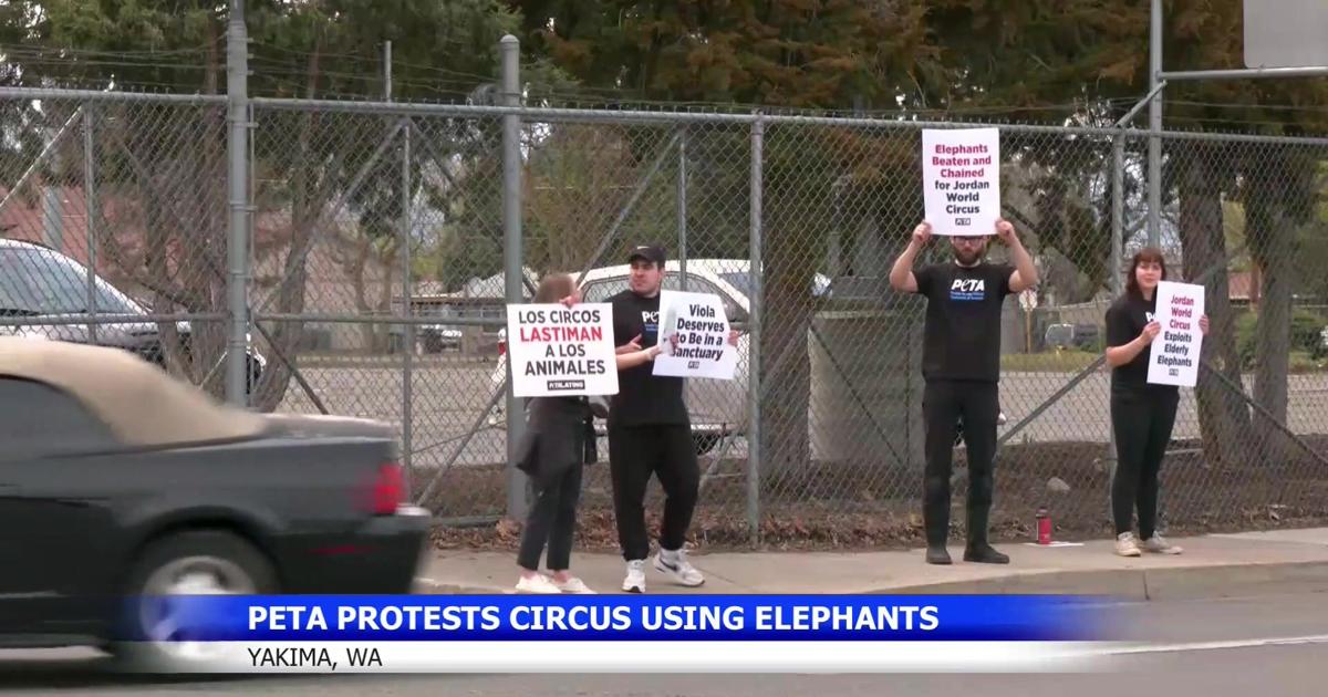 PETA протестует против Иорданского всемирного цирка возле Yakima SunDome