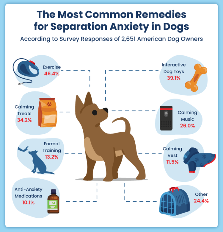 Pet of the Weekend Mila from BentonFranklin Humane Society News