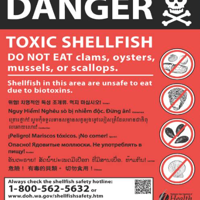 Shellfish High Risk Washington Poison Center warns of the potential of shellfish poisoning ...
