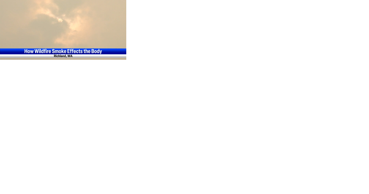 A respiratory therapist describes what wildfire smoke does to the body - Vimarsana News