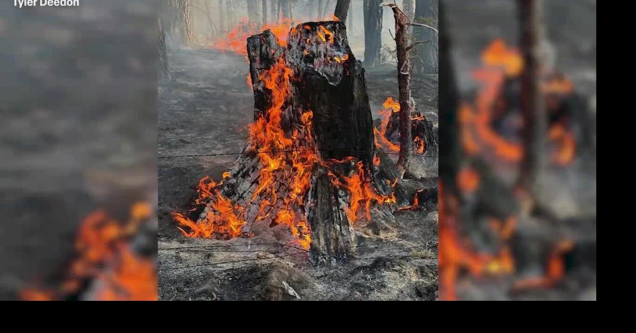 Oregon governor issues executive order to boost climate resilience efforts