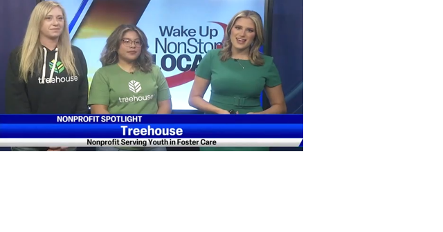 Nonprofit Spotlight: Treehouse, supporting kids in foster care - Vimarsana News