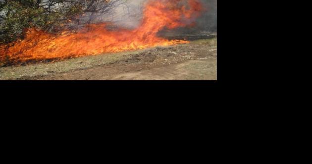 Bipartisan letter addressing wildfire smoke across the West urges more prescribed burns - Vimarsana News