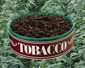 tobacco and salt museum photos Tobacco & Salt Museum tobacco and salt museum photos Tobacco & Salt Museum