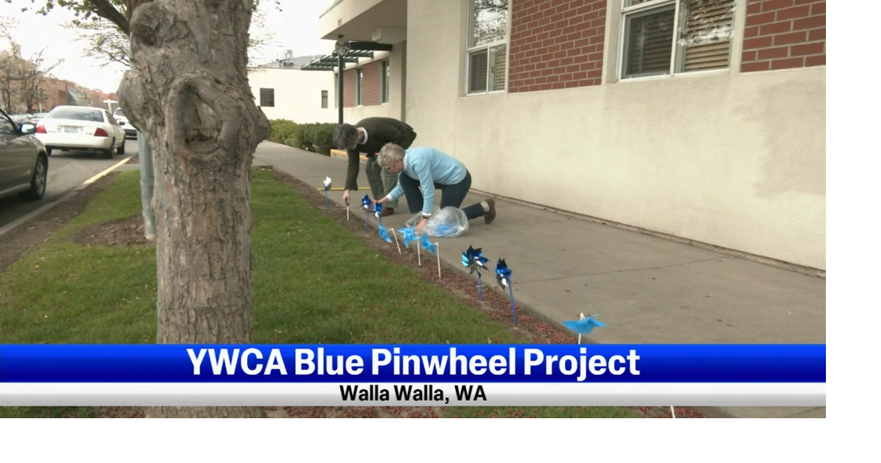 YWCA using Blue Pinwheel Project to spread awareness of child abuse ...