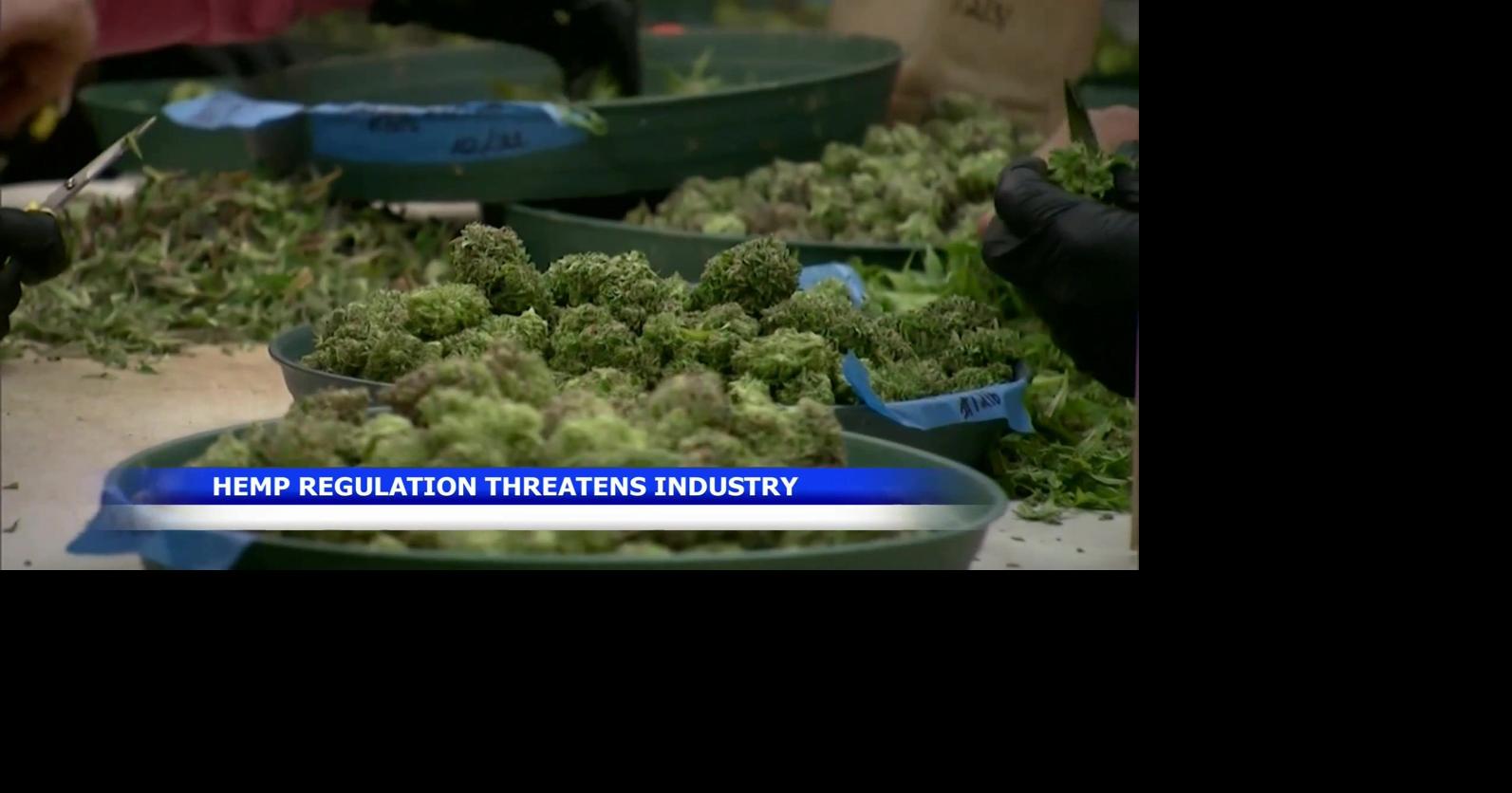 Hemp crackdown threatens health products, multi-billion dollar industry ...