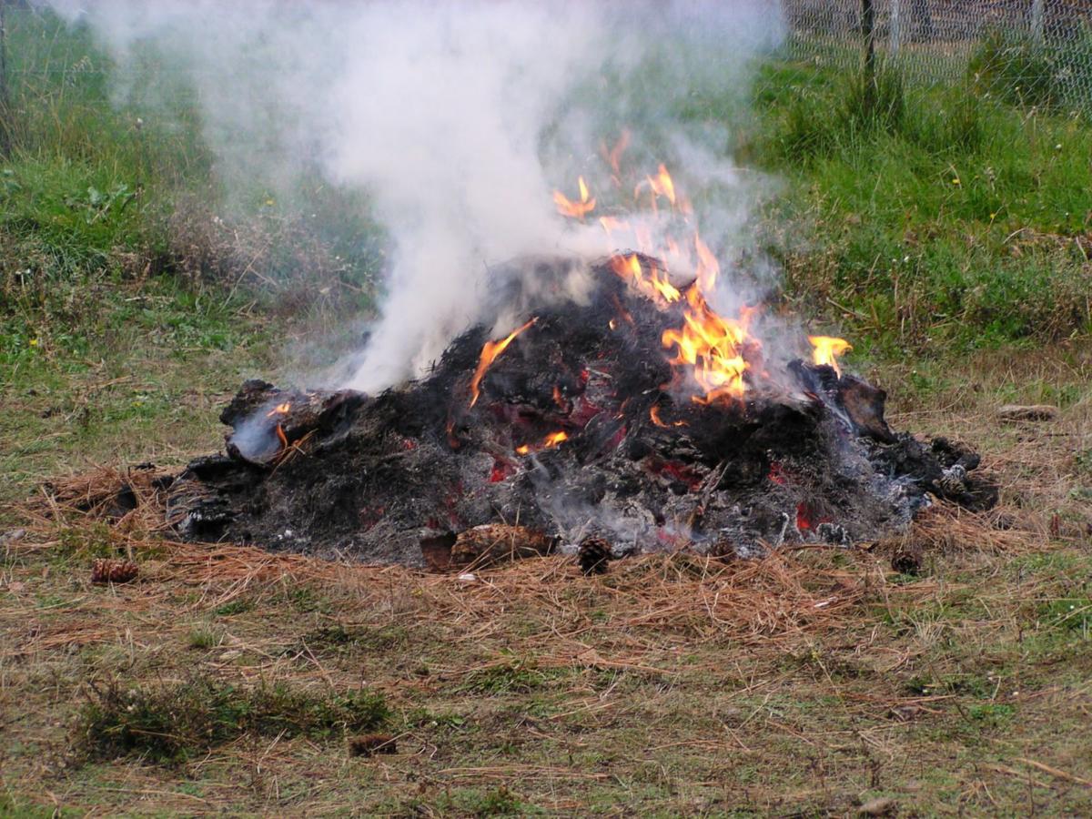 Mountainair Ranger District to Implement Capilla Pile Burning