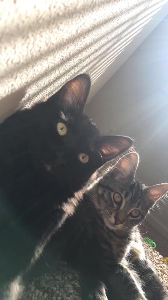 Maurissa Valero Shadow & Cardi.jpg