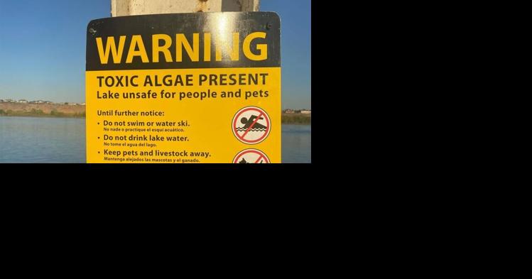 Benton Franklin Health District reports one dog death in connection to toxic algae exposure - Vimarsana News