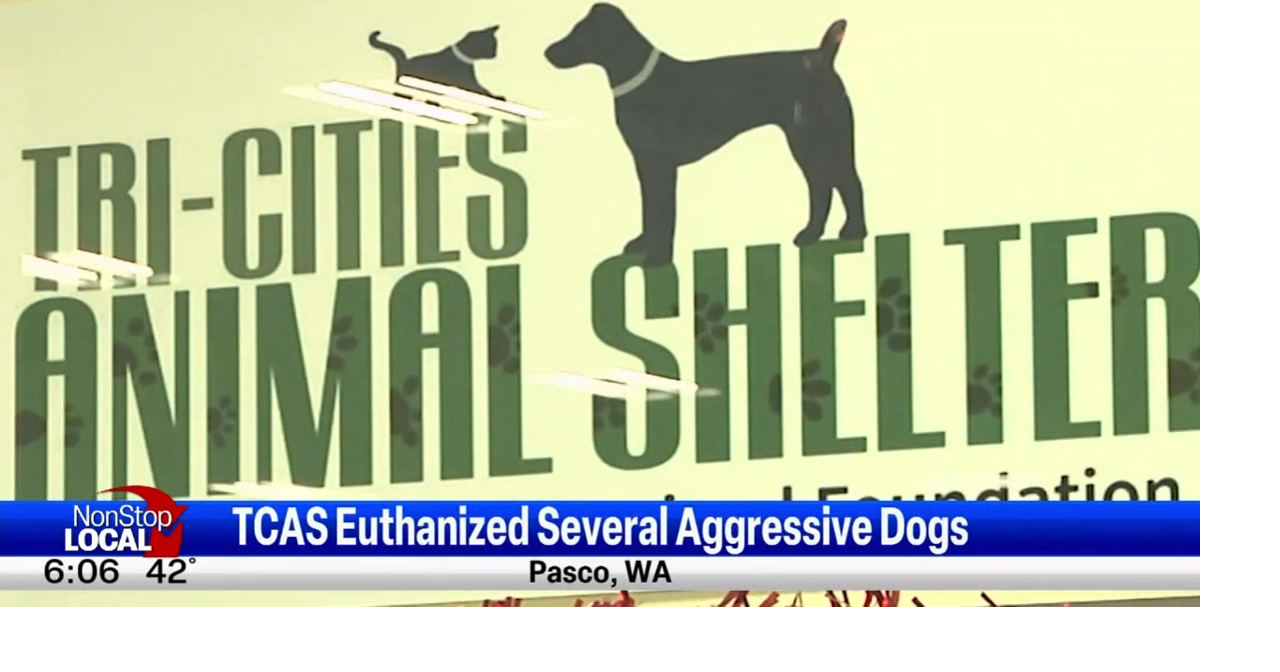 UPDATE TriCities Animal Shelter to improve transparency after