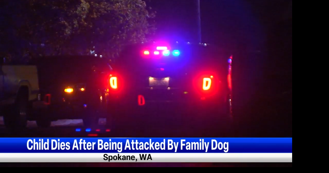 it-s-a-tragedy-4-year-old-child-attacked-and-killed-by-family-dog-on