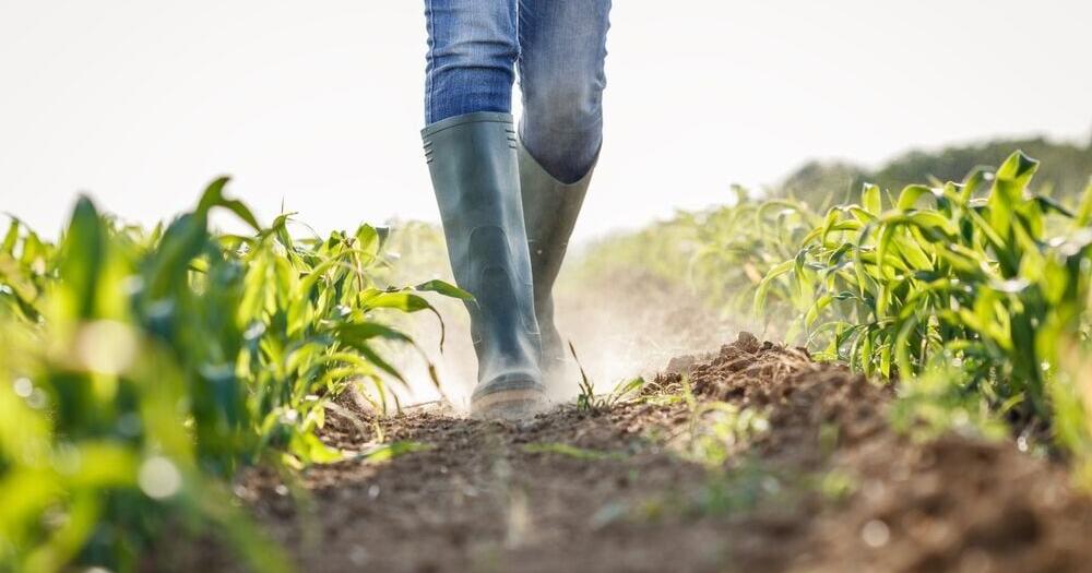 Oregon Farms Lose $4.1M per Year to Natural Hazards