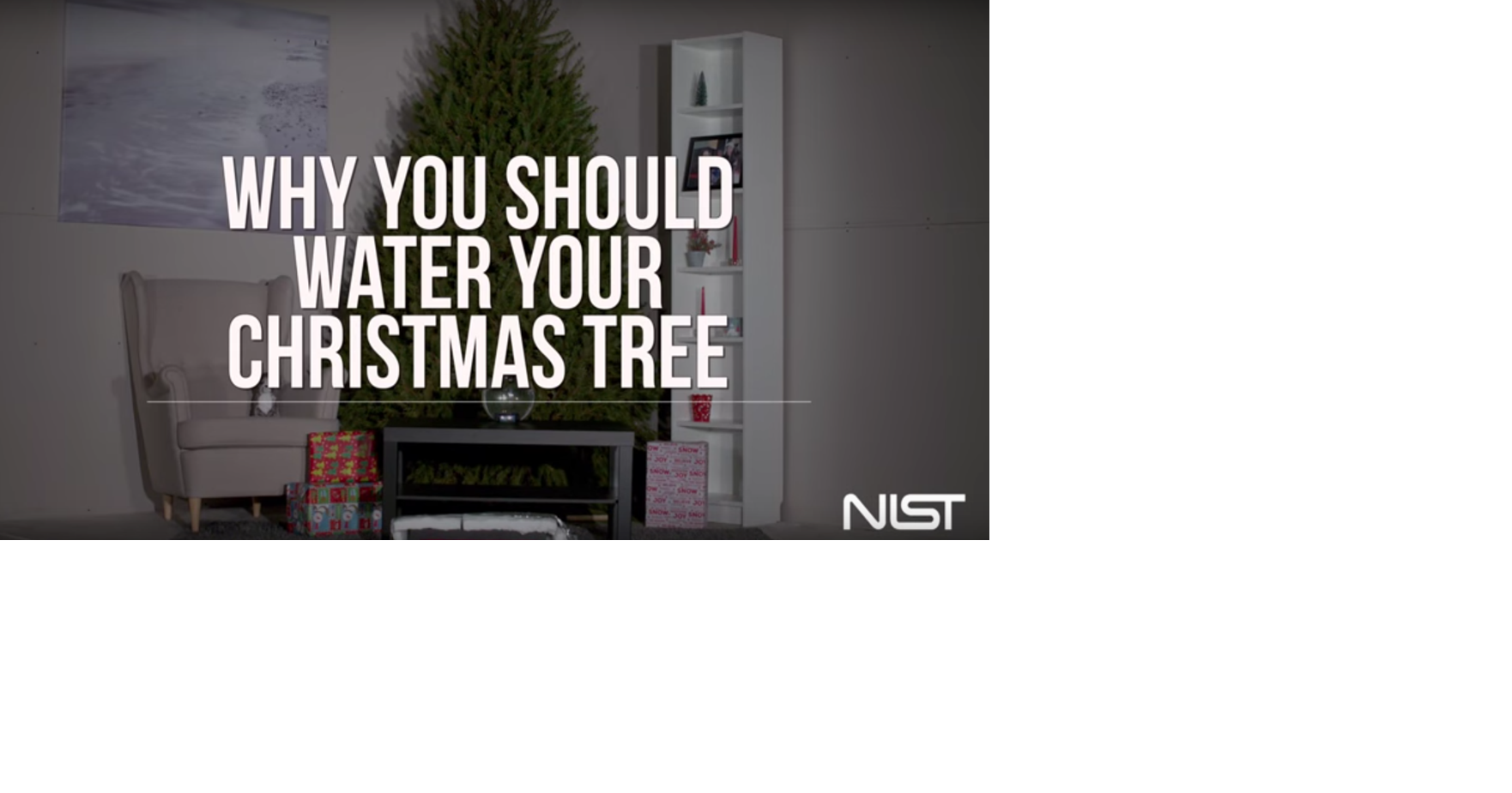 Safety tips to prevent Christmas tree fires this holiday Homeand