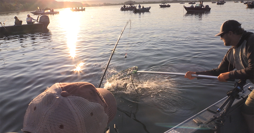 Low salmon returns foreclose local sockeye season opener