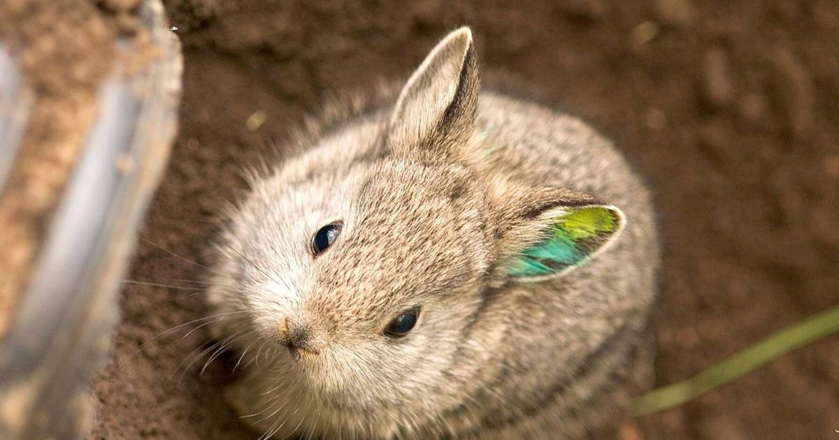 Fish and Wildlife Commission purchases an additional 650 acres to ...