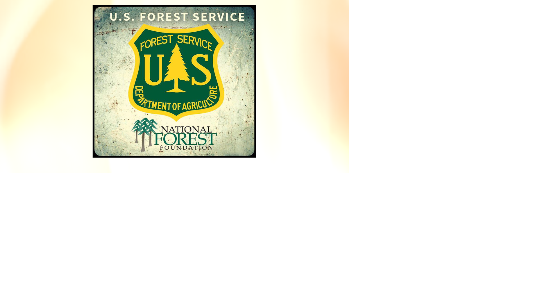 Washington State Forest Service staff work with local aviation company