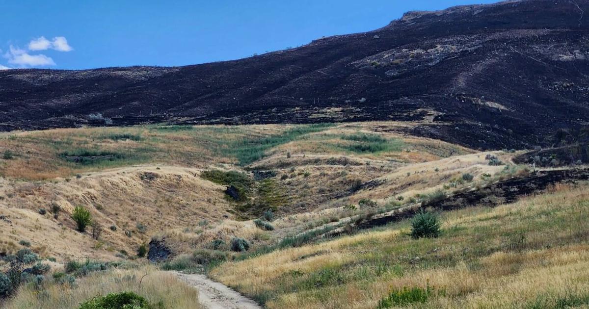 Local units to assume command of Pearl Hill Fire