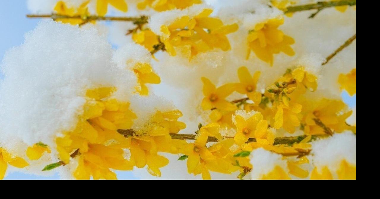 Coldest Aprils in Oregon since 1895