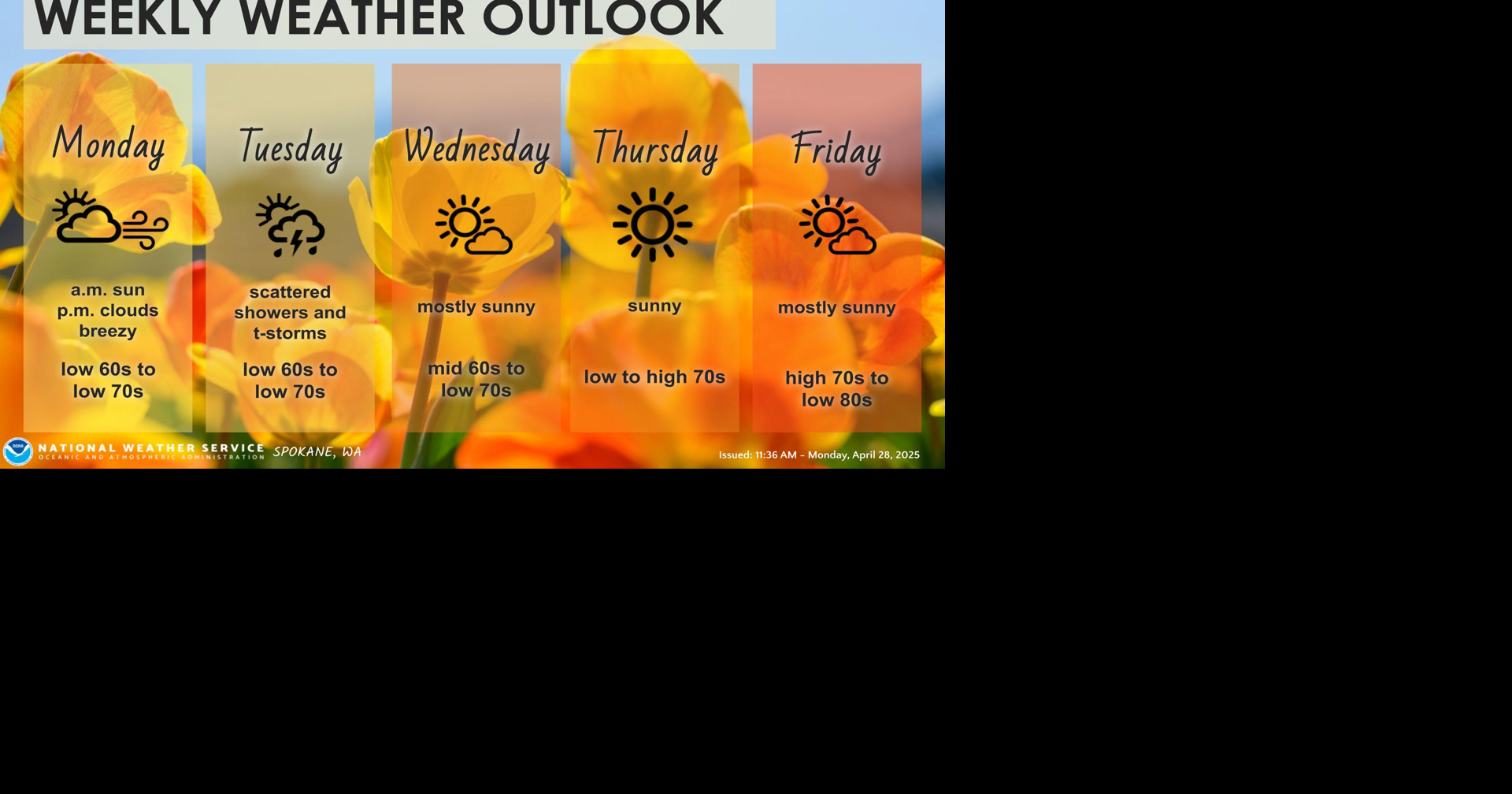 Apple Blossom Forecast for the Week Ahead | Weather | ncwlife.com
