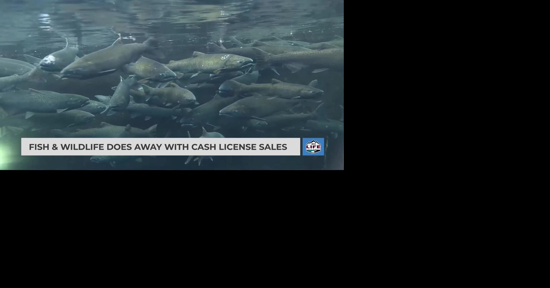 Fish & Wildlife does away with cash license sales | Videos | ncwlife.com