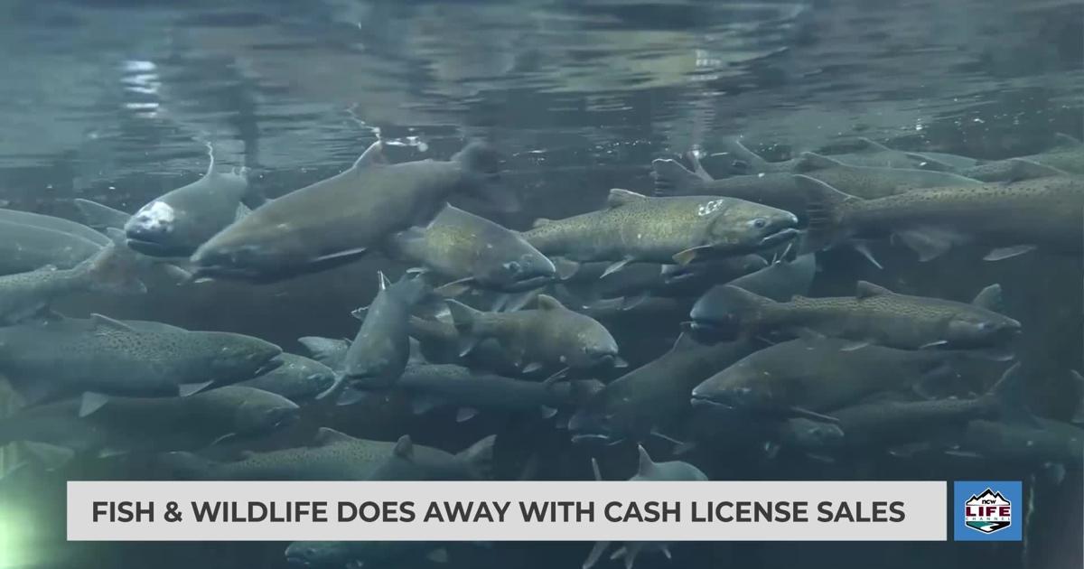 Fish Keep Money Fish & Wildlife does away with cash license sales | Videos | ncwlife.com