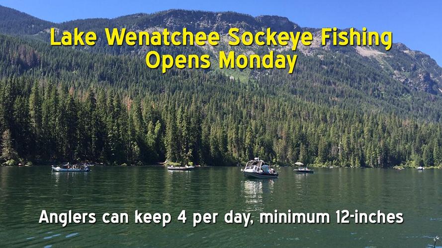 Sockeye fishing to open on Lake Wenatchee Monday Local