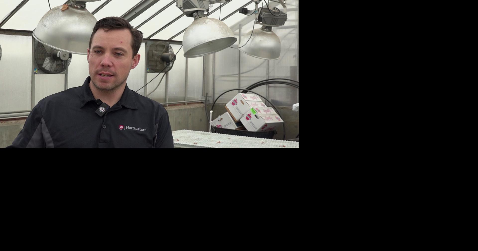 Tree fruit scientist leads research efforts at WSU's Wenatchee facility ...