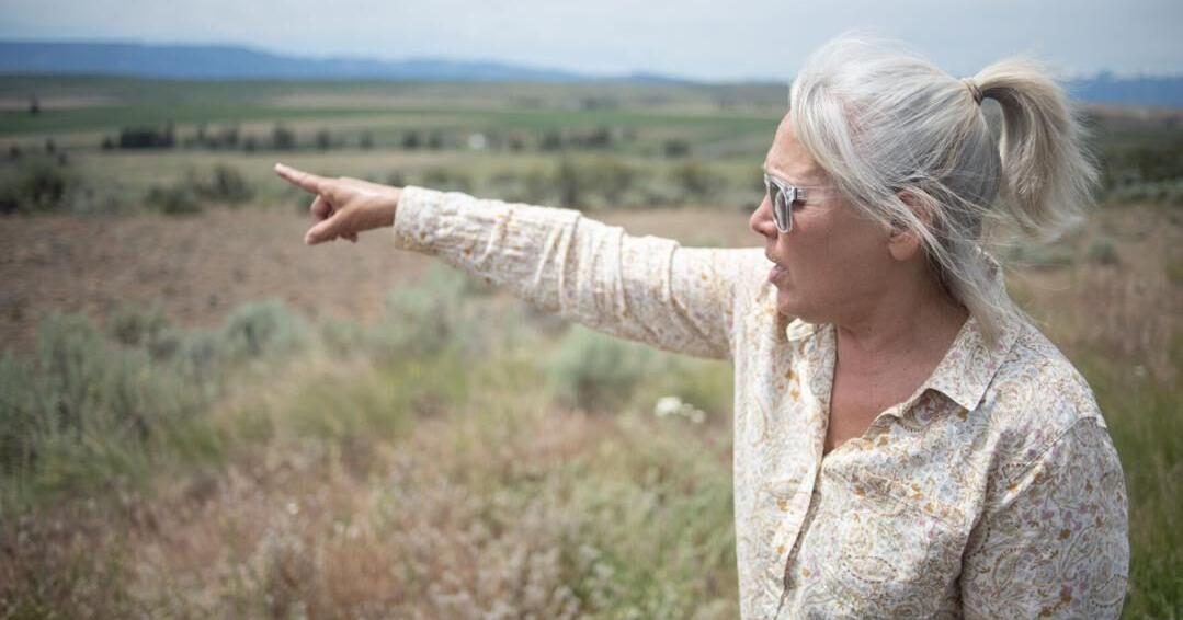 ‘Stunned with relief’: Colville Tribes, Badger Mountain resident react to solar farm withdrawal