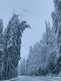 Stevens Pass still closed after a rough weekend for motorists ...