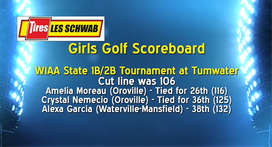 A dozen golfers form NCW make the cut at State Golf Tournaments