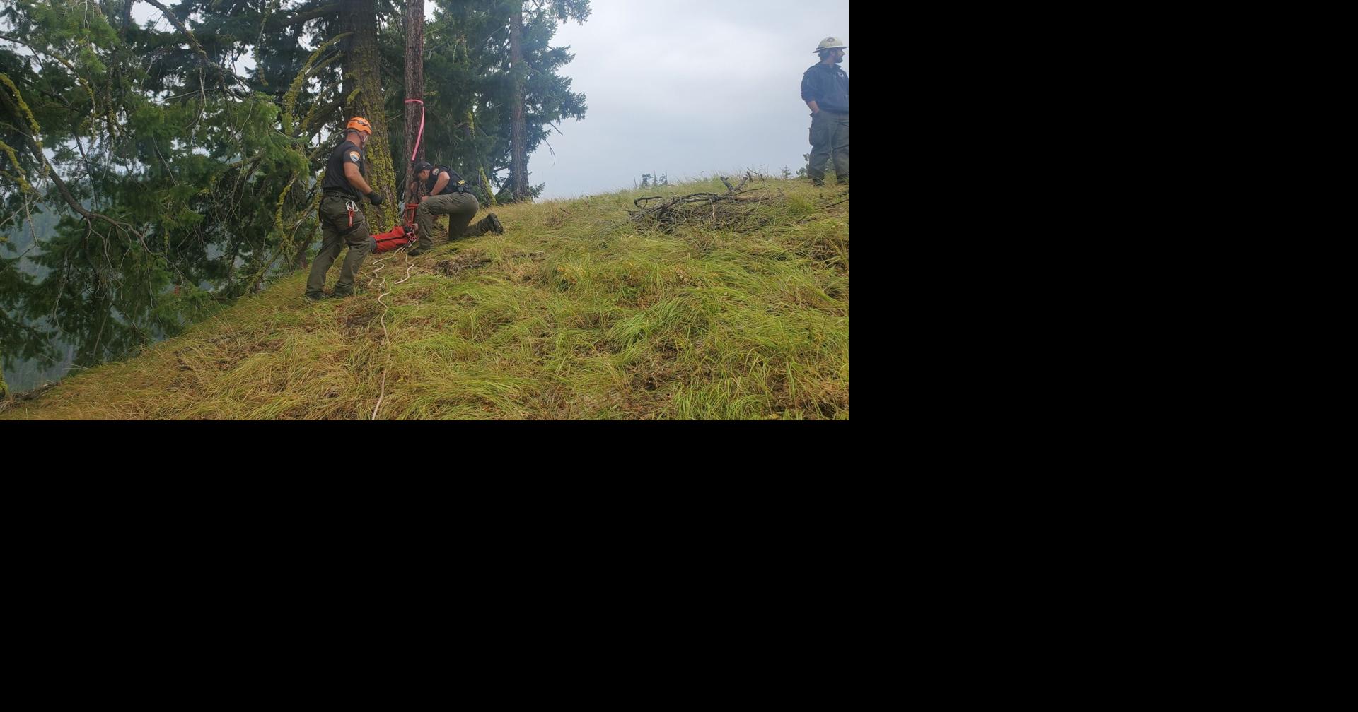 Dog rescued by Sheriff’s Office rope team after slip | News | ncwlife.com