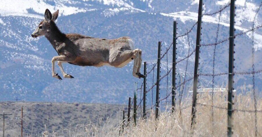 Property rights bill draws support from landowners and ag industry, concern from Fish and Game