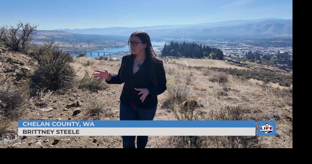 Progress made in Lookout Natural Area work | Videos | ncwlife.com