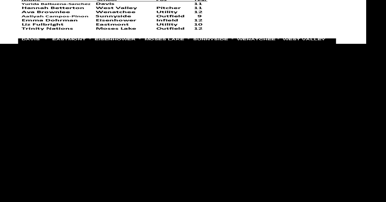 2023 Big 9 All Conference Slowpitch SB Sports