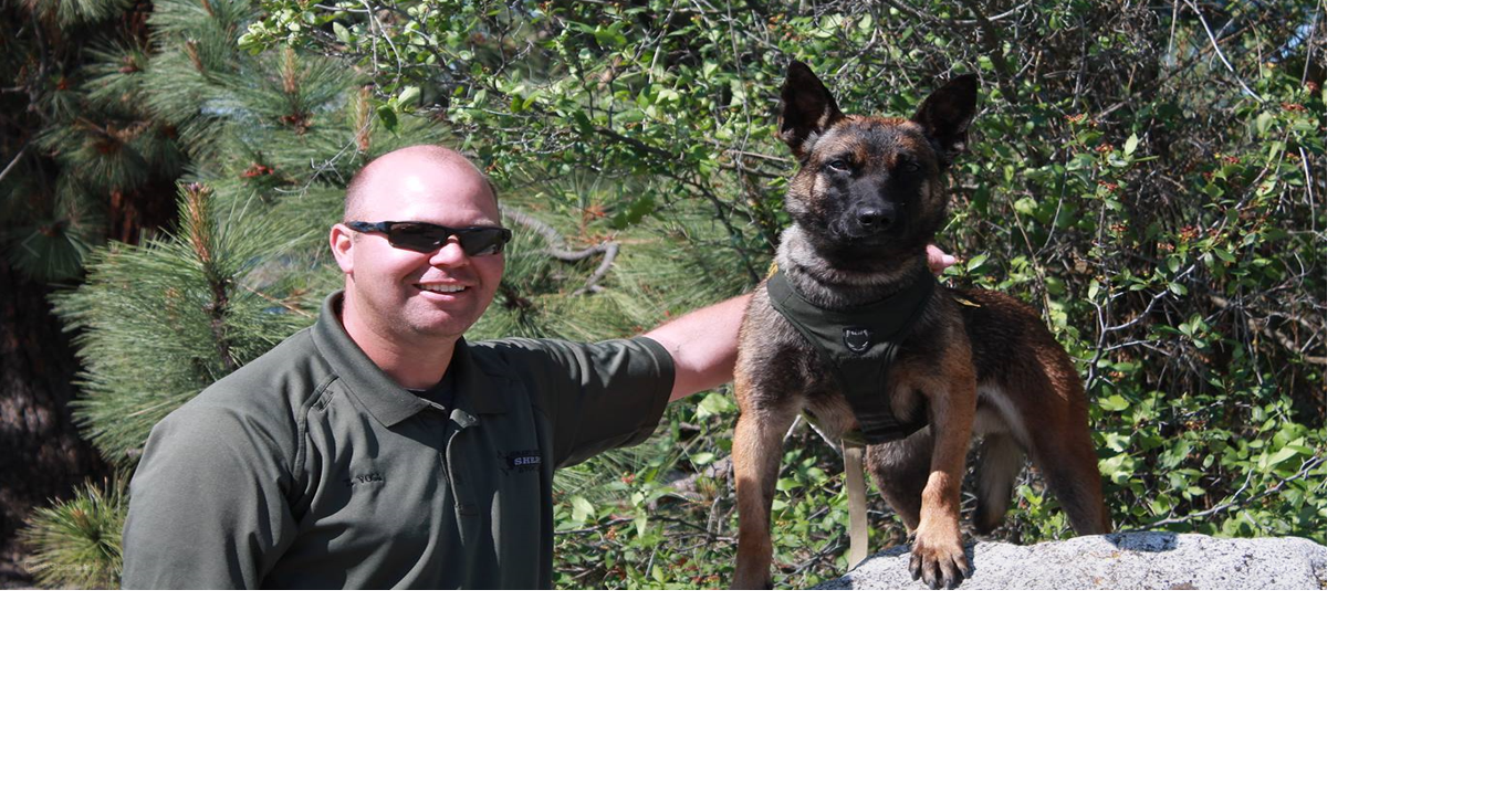 K9 helps capture fleeing domestic violence suspect | Local News ...