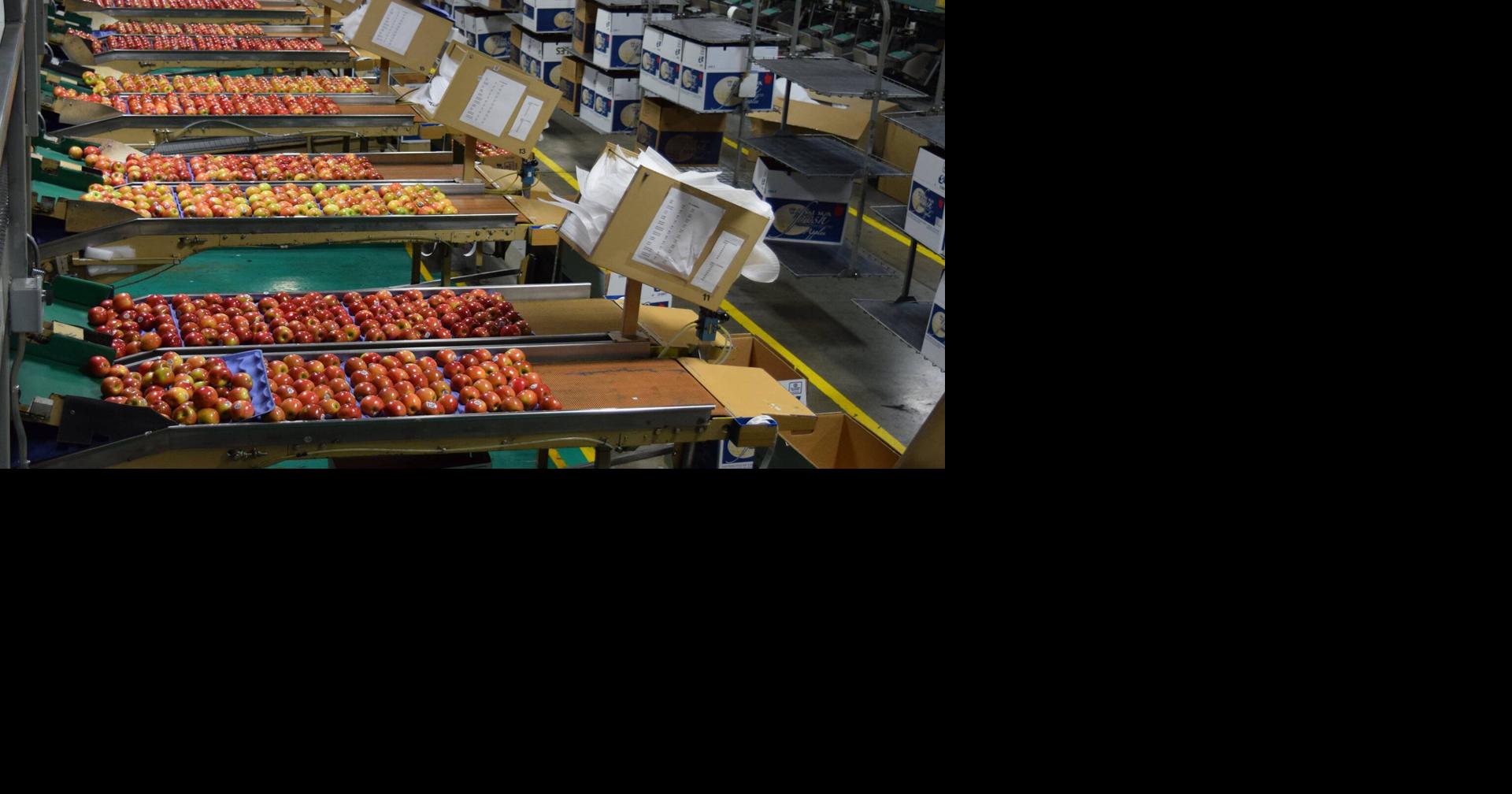 Tree fruit organizations concerned about tariff proposal | Local News ...
