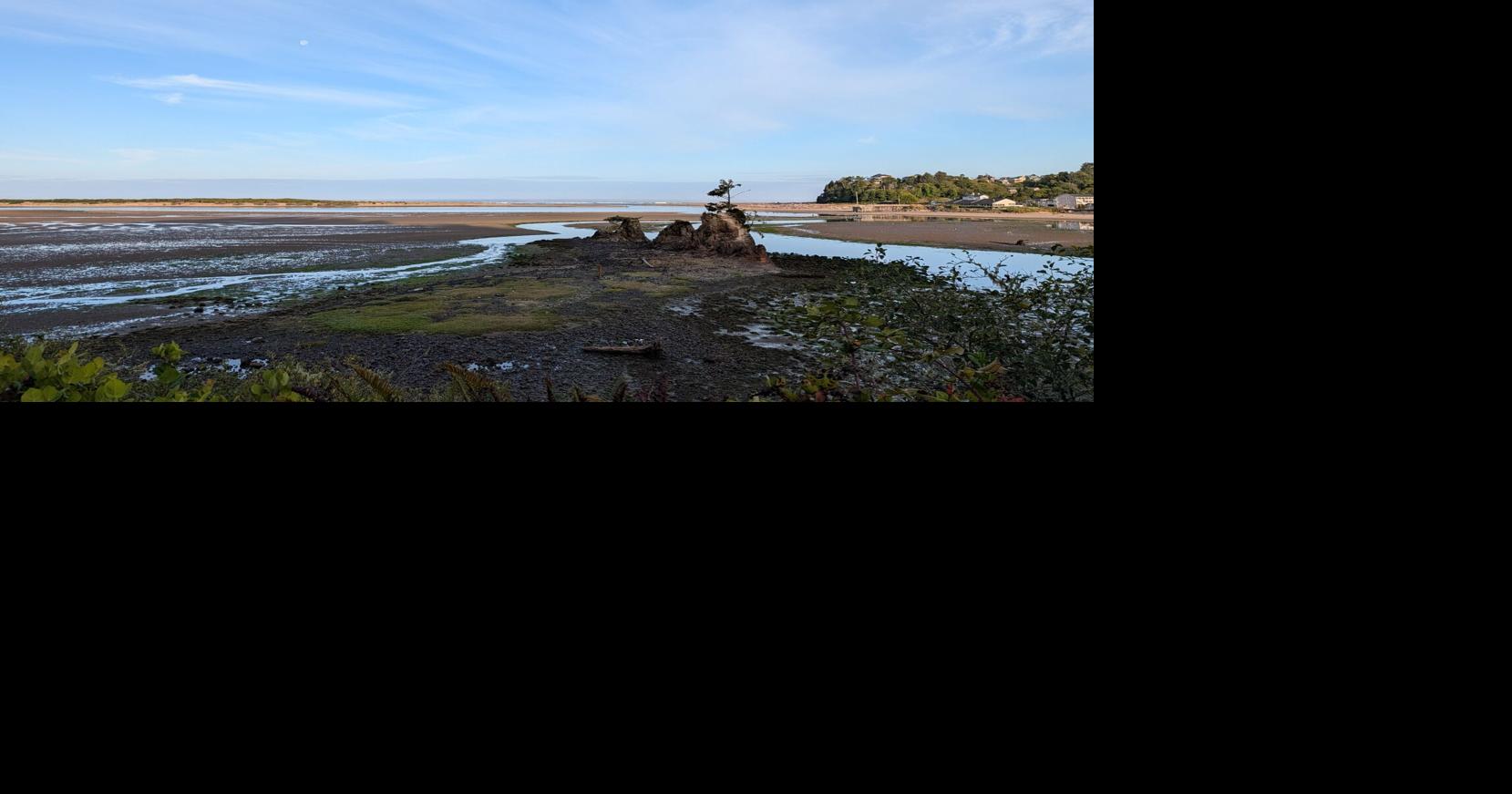 Coast Moment Jeremy C. Ruark Lincoln County Leader Aug 30, 2026 2 hrs ago