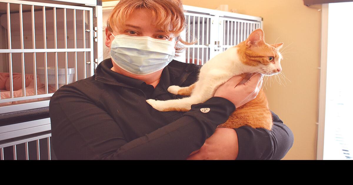 Lincoln County Animal shelter has new manager News