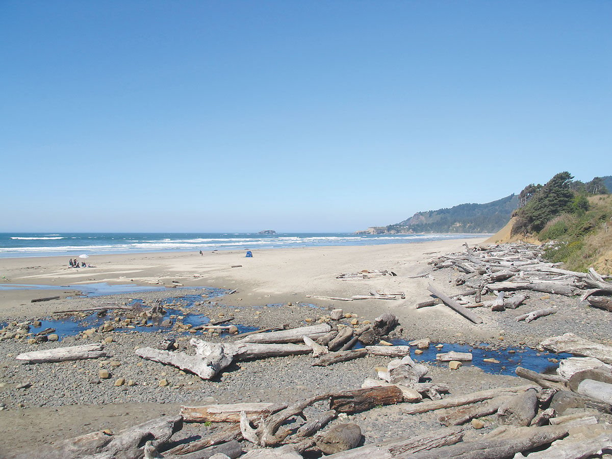 Beverly Beach State Park News: Your Ultimate Guide to Oregon’s Coastal Gem