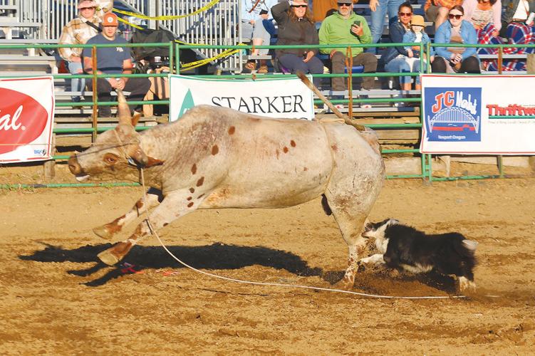 Rodeo brings action to county fair | Sports | newportnewstimes.com