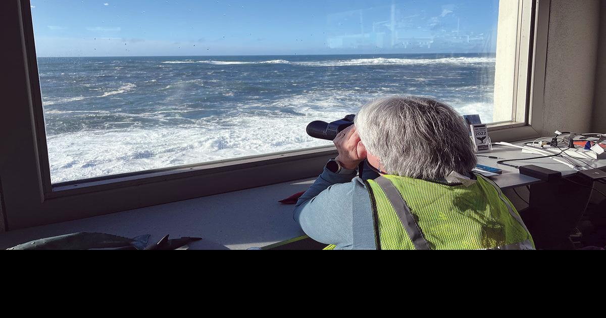 Spring Whale Watch Week returns Coast Life