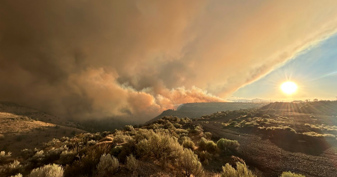 Oregon lawmakers approve more than $120 million to cover cost of 2026 wildfires Mia Maldonado Oregon Capital Chronicle Sep 10, 2026 9 sec ago